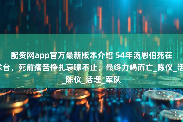 配资网app官方最新版本介绍 54年汤恩伯死在日本手术台，死前痛苦挣扎哀嚎不止，最终力竭而亡_陈仪_活埋_军队